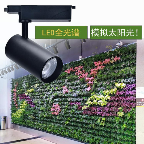 چراغ ریلی رشد گیاه فول اسپکتروم